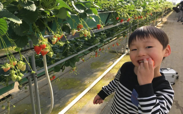 Log Home Pension Wood Inn