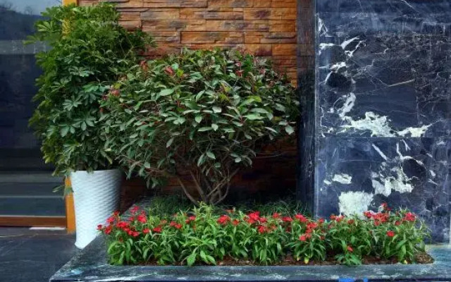 Ruiyuan Hotel (Zhangjiajie West High-speed Railway Station)