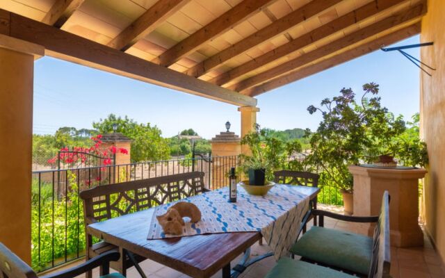 Es Coscolls (Pic300)