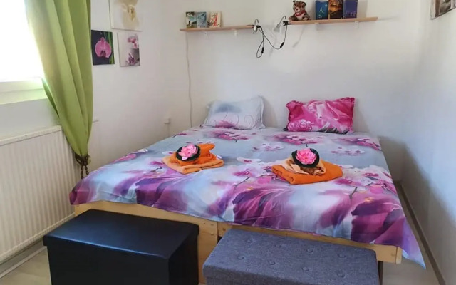Chez Minnie