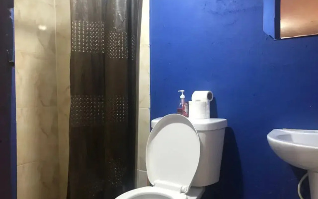 Twin Fin Hostels