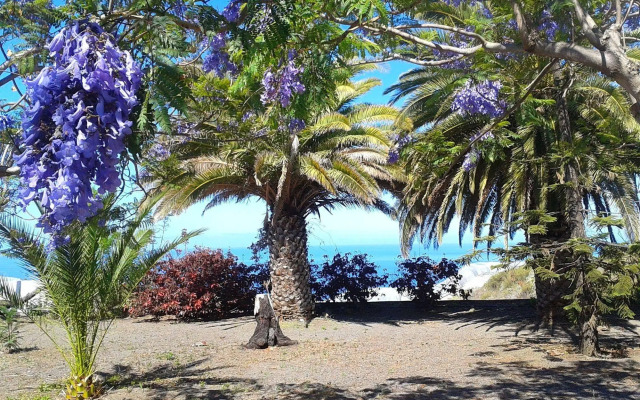 La Palma Sun Nudist