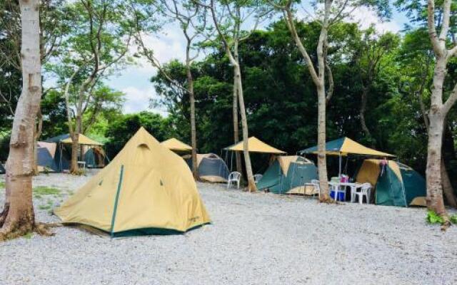 Okinawa BBQ Beer Garden & Campsite