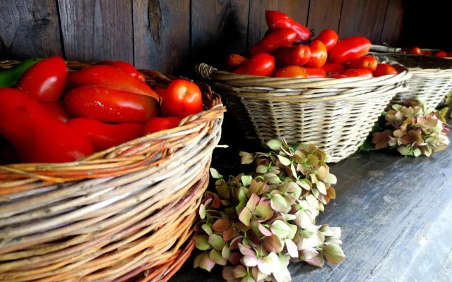 Casa Rondini, organic farm
