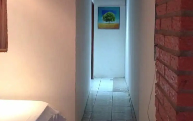Manú