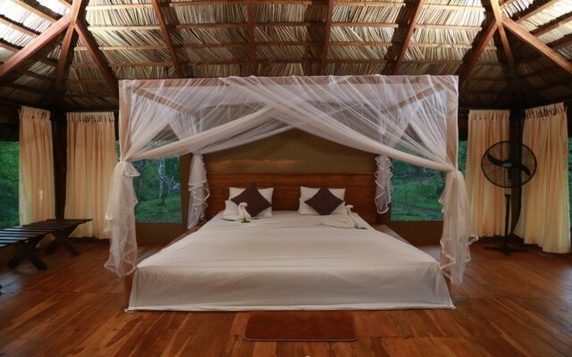 Yala Safari Camping
