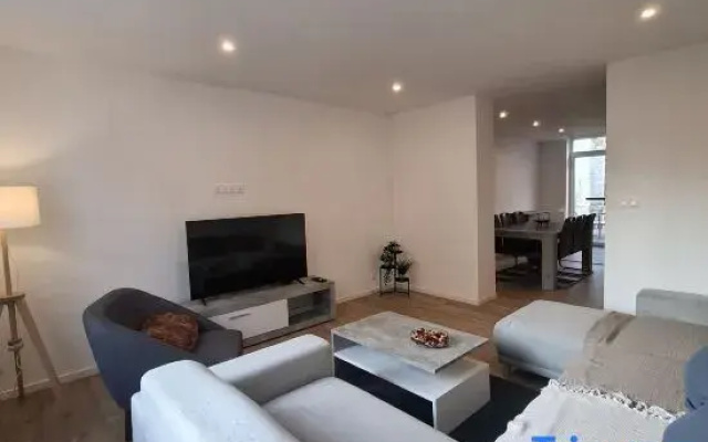 Large and quiet apartment next to the city center