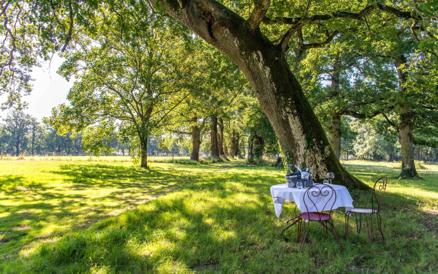 Domaine de La Briandais, a place of electromagnetic sobriety