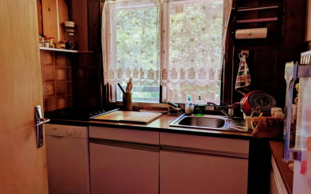 Alpine Chalet La Conchette