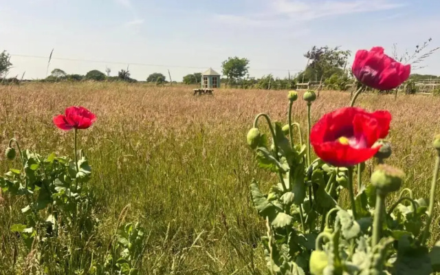 Luxury Bell Tent in Norfolk With Scenic Garden