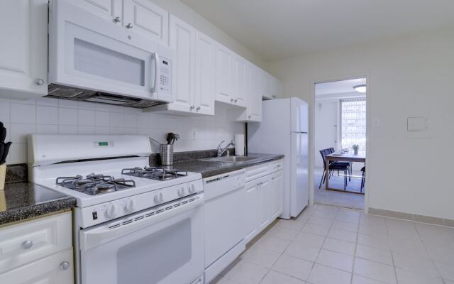 Sensational & Modern apt in Crystal City