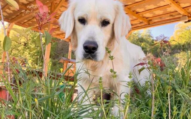 Casetta nel Podere di Massi