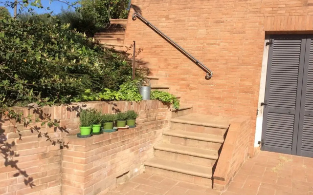 Il Podere Degli Ulivi