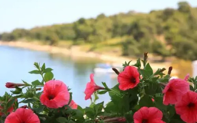 Aparthotel 3 stars Ermioni