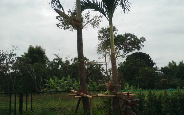 Duangdara Guesthouse