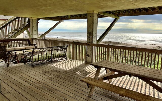 Happy Honu by RedAwning