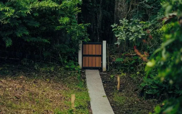 Matahom Forest Glamping Tent 2