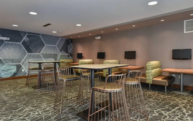 SpringHill Suites by Marriott Columbia Downtown/The Vista