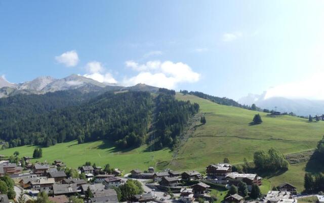 Ours Blanc 29 - Appartement duplex avec vue
