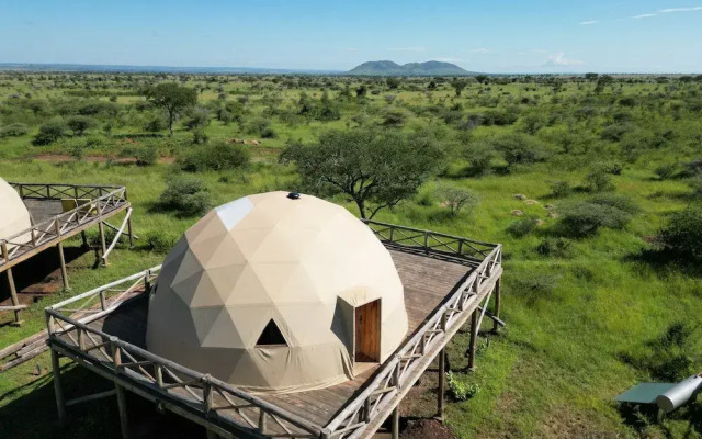 Kuoom Serengeti