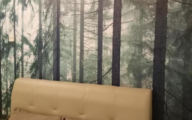 Nature @ Forest Cameron 15