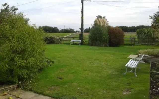 Yew Tree View