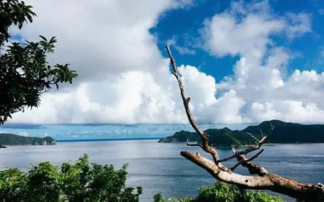 Sakai Guest House AMAMI（堺ゲストハウス奄美）