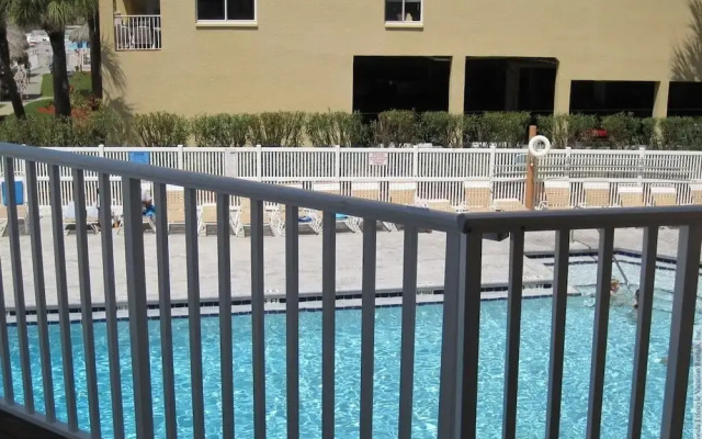 Beach Palms 109