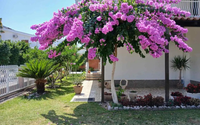 Vila Adriatik