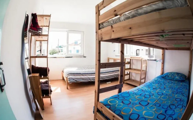 Native Surfhouse - Hostel