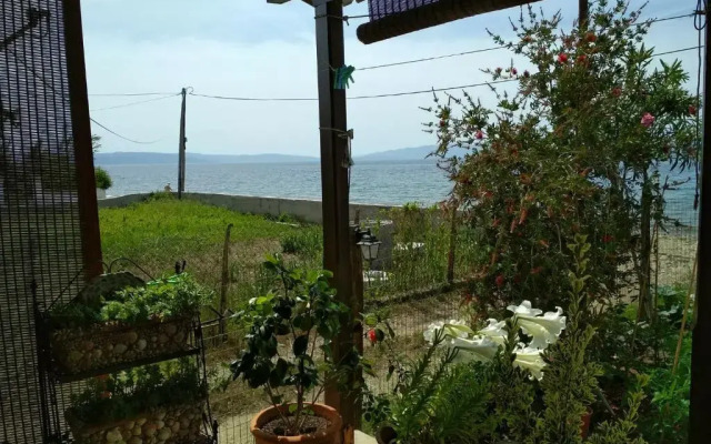 Pelion Platanidia seaside house