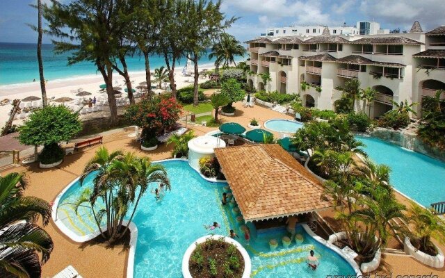 Bougainvillea Barbados