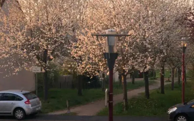 Appartement entier en résidence avec Piscine
