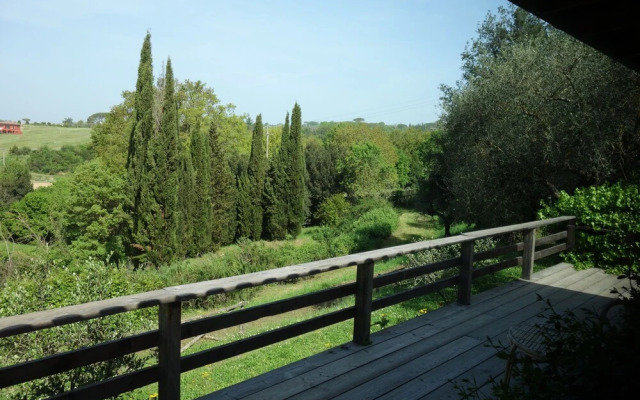 Madonnella Agricola