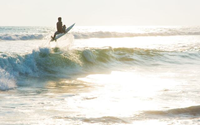 The Driftwood Surfer