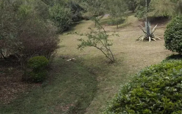 Savannah Garden Resort