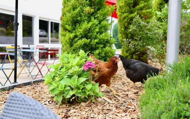 ibis Quimper