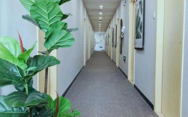 Fengle Hostel
