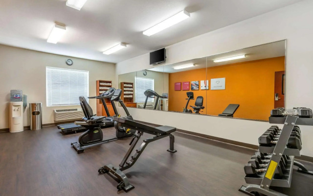 Comfort Suites San Antonio North - Stone Oak