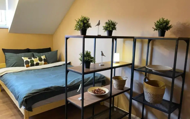 BRUSNIKA Guest house