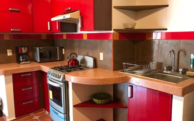 Depa Xochitl Down Town