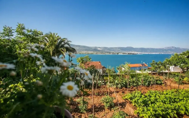 Marija - 60 m From Beach - A2