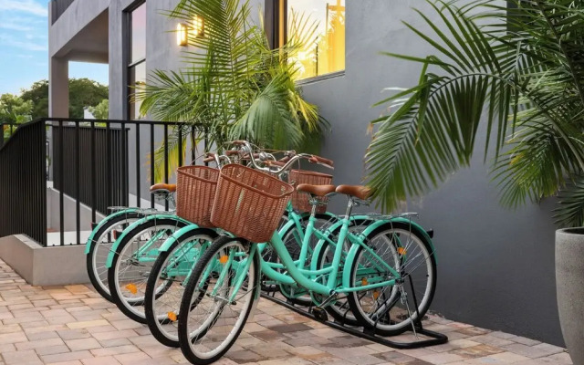 The Rover Miami