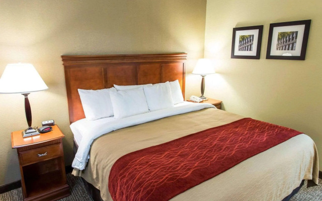 Comfort Inn Opelika - Auburn