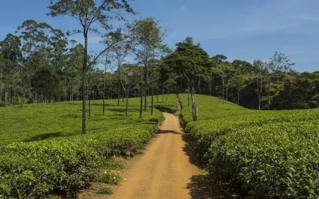 Taylors Hill Boutique Hotel