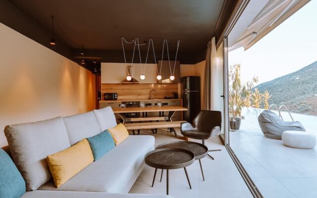 Theros Villas With Private Pool