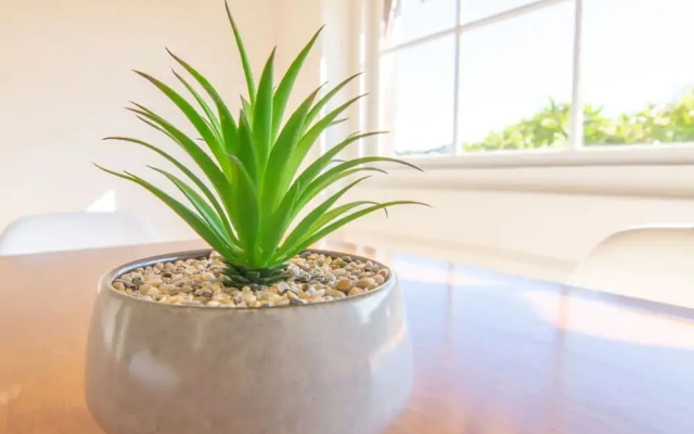 Two Bedroom Apartment in Mosman With Harbour Views