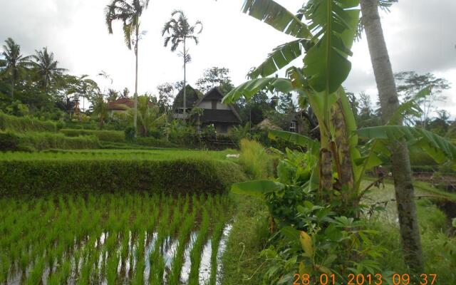 Matahari Lumbung's Bungalow