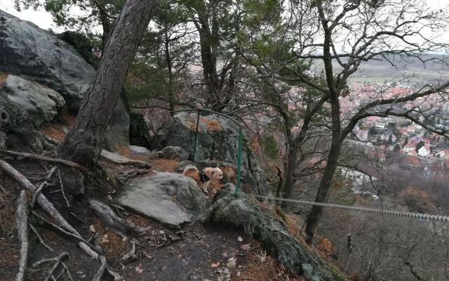 Spacious Apartment in Blankenburg Harz near Ski Area