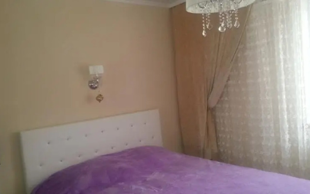 У Ангелины на Роз 39